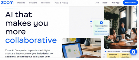 Video meetings through Zoom (or Teams)